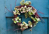 Festive garland against a blue-green door.  Red dogwood twigs with hydrangea flowers and tiny fir cones attached.