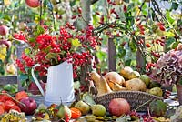 Jug of Viburnum opulus, rosehip wreath, Physalis and basket of harvested pears and apples.