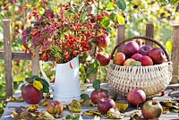 Jug of rosehips and perennials and basket of harvested apples on the table.