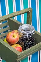 Glass jar of foraged Rubus fruticosus - Blackberries and handpicked Malus - Apples sat within a green trug on a deckchair