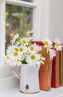 Leucanthemum vulgare in a white jug on a windowsill, with a view to the garden