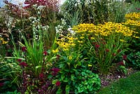 Rudbeckia Goldstrum amongst border with autumn colour theme 