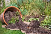 Re-using spent container compost as a mulch for a garden border