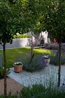 View to lounger, repeat planting of pyrus 'Chanticleer' and  Nepeta 'Six Hills Giant', 