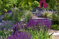 Split level modern garden with steps to seating area, Salvia 'Caradonna', Helicotrichon sempervirens, Geranium 'Brookside', Calamagrostis 'Overdam'