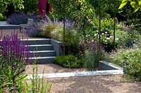 Steps in modern split level garden with gravel surface, bench in raised seating area. Planting includes Nepeta 'Six Hils Giant', Phlomis russeliana, Paeonia 'White Wings'