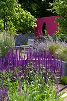 View to bench on raised seating areain modern split level garden with pink painted feature wall.  Planting includes  Salvia 'Caradonna', Nepeta 'Six Hills Giant' and Pyrus calleriana 'Chanticleer'
