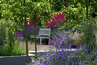 Wooden bench in raised gravel garden. Planting includes, Geranium 'Brookside', Nepeta 'Six Hills Giant', Pyrus 'Chanticleer'