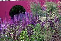 Pink moon feature wall with mixed planting of Salvia 'Caradonna', Helictotrichon sempervirens, Calamagrostis 'Overdam'
