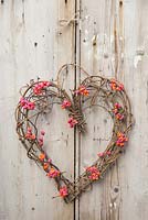 A heart shaped Euonymus - Spindle wreath, hanging on a wooden door
