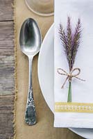 Table place setting featuring the use of Pennisetum setaceum 'Rubrum'