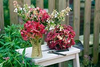 Cut garden flower arrangement - hydrangea flowerheads and stems of abelia in vintage cut glass vase