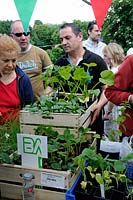 Man buying a wooden box full of vegetables, Alexandra Palace Allotments plant sale, London Borough of Haringey