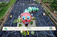The Very Hungry Caterpillar model surrounded by fruit and vegetables, Paddock Allotments 