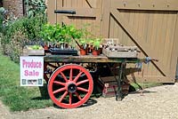 Traditional vintage barrow with produce for sale, Chiswick House Kitchen Garden, London Borough of Hounslow