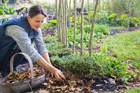 Woman mulching a garden border with autumnal leaves