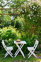 White garden table and chairs under climbing rose, rosa Venusta Pendula, trellis, straw hat on table