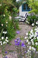 Seating area next to painted shed in country garden, white and lilac campanula