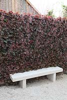 Living wall planted with Heuchera with stone bench, June, Sigmaringen, Germany 