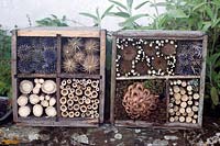 Homemade insect boxes made using dried flower heads and stems 