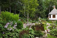 Burgundy astilbes and hosta plants in border next to pond with typha latifolia - common cattails in backyard garden in summer