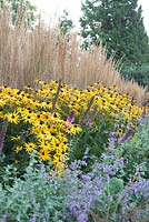 Terraced garden with grasses and rudbeckia and catmint below