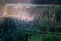 Light shining through sprinkler in a garden on a summer evening
