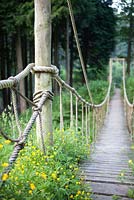 Forest garden with rope bridge across stream