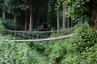 Forest garden with rope bridge across stream with ferns and forest beyond