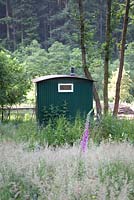 Shepherds hut on the edge of a forest set amongst grasses and foxgloves
