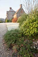 A mix of clipped and freely growing evergreen shrubs at the front of the house including prostrate rosemary in foreground. 