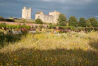 Imposing backdrop of Helmsley Castle with annual meadow planting in the foreground and hot herbaceous borders behind. 