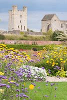 Achillea filipendulina 'Gold Plate' and Verbena bonariensis with the dramatic backdrop of Helmsley Castle. 
