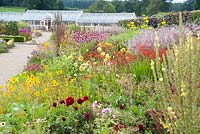 Double herbaceous borders planted with predominantly hot colours leading toward restored Victorian glasshouses. Plants include Coreopsis 'Astolat', crocosmias, dahlias, Persicaria affinis 'Darjeeling Red' and Echinacea purpurea Bressingham hybrids. 