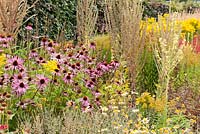 A section of one of the double herbaceous borders planted with predominantly hot colours including Echinacea purpurea Bressingham hybrids, tall Verbascum olympicum, and yellow anthemis and golden rod. 