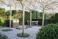 A gravelled courtyard in a formal garden featuring four weeping ash, Fraxinus excelsior 'Pendula', steel and lead container, an arrangement of stone setts and seating surrounded by yew hedging and domes of box. 
