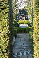 A path in a formal garden passes between yew hedges toward a steel planter containing small leaved box, buxus microphylla. 