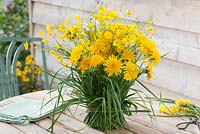 Bunch of taraxacum - dandelion and ranunculus acris - buttercup dressed in vase with grass