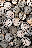 Holes drilled through logs in pile for insects 