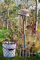 Hat on fork and bucket of dug dahlia tubers in autumn garden.