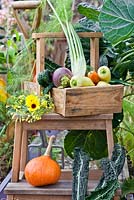 Harvested vegetables on a ladder in vegetable garden.