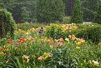 Statue in a garden border with orange and red Hemerocallis - Daylily flowers and a Larix decidua pendula - Weeping Larch Tree at left and a Chamaecyparis 'False Mops' - Cypress on the right in backyard Country garden in summer, Jardin des Mesanges garden, Quebec, Canada