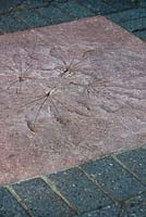 Cement tile - foliage imprinted coloured concrete 