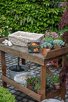 Practical step-by-step guide to planting a stone alpine trough with alpine plants. In preparation, stone trough with drainage holes, bag of grit, bowl of John Innes No.2, gravel, crocks and pots of alpine plants.