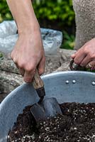 Practical step-by-step guide to planting a stone alpine trough with alpine plants. Alpine plants need good drainage, so mix half John Innes No. 2 compost with half grit to plant in.