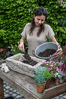 Practical step-by-step guide to planting a stone alpine trough with alpine plants. Fill the trough with a mix of half John Innes No. 2 compost and half grit, taking to within 10 cm of the trough's rim, levelling and firming with your fingertips.