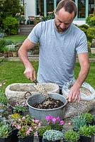 Practical step-by-step guide to planting a stone alpine trough with rock plants. Rock plants need good drainage, so mix half John Innes No. 2 compost with half grit.