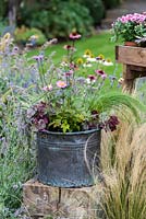 Planting a salvaged pot step by step. Finished summer container in a salvaged pot planted with Verbena bonariensis, Stipa tenuissima, Heuchera and Anemone.