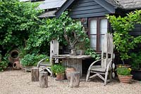 Contemporary house covered in vine - Vitis vinifera, Driftwood thrones made by The Yurt Shop in Battle, tree stump seats and cable reel table, with tree branch candelabra.