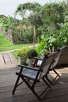 Decked verandah with deck chairs overlooking the garden. Galvanised pots of Buxus and Nasturtiums, Olive tree and Pumpkin foliage,  living willow tunnel.